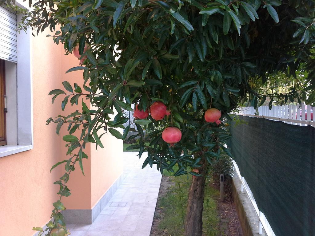 Villa Al Sole Μέστρε Εξωτερικό φωτογραφία